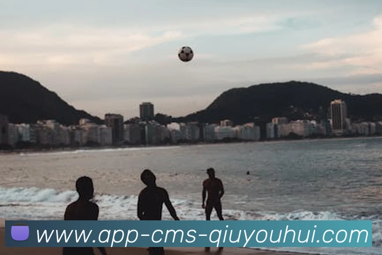 球友会app平台生态图